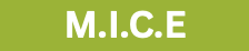 M.I.C.E